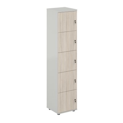 Локер 5 ячеек 400х400х1866