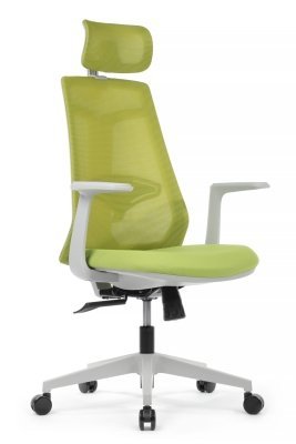 Кресло для руководителя Riva Design Гем / Gem 6230A-HS зелёная сетка, зелёная ткань